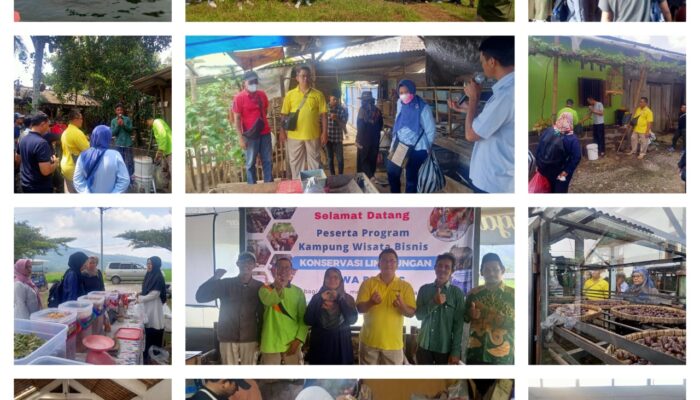 Ayo Wisata Bisnis Konservasi Lingkungan di Rawa Pening Banyubiru