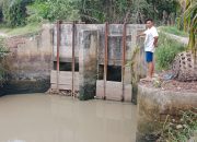 Pintu Air Sungai Rambung Sudah Belasan Tahun Rusak, Ini Kata Dinas PUTR Serdang Bedagai