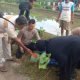 Temuan Mayat di Saluran Irigasi Lakbok, Diduga Akibat Penyakit Vertigo Kambuh Saat Memancing